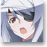 IS (Infinite Stratos) IC Card Sticker Set Laura Bodewig (Anime Toy)