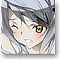 IS (Infinite Stratos) Mobile Strap Cleaner Laura Bodewig (Anime Toy)