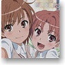 To Aru Kagaku no Railgun Full Color Card Case B (Anime Toy)