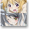 IS (Infinite Stratos) Mug Cup B (Anime Toy)