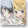 IS (Infinite Stratos) Charlotte & Laura Bathroom Poster (Anime Toy)