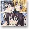 [IS (Infinite Stratos)] Large Format Mouse Pad [After Bath] (Anime Toy)