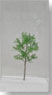 1/150 General Tree A EX60 (1pc.) (Pre-colored Completed) (Model Train)