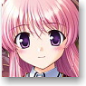 Character Card Box Collection Aiyoku no Eustia [Eustia Astraea] (Card Supplies)