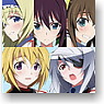 GSR Character Customize Series Decals 027: Infinite Stratos - 1/24th Scale (Anime Toy)