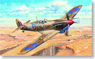 Spitfire Mk.Vb/Trop (Plastic model)