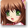 Rewrite Clear Poster Collection Box 12 pieces (Anime Toy)