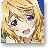 [IS (Infinite Stratos)] B2 Tapestry Ver.2 (Anime Toy)