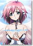 Sora no Otoshimono the Movie: The Angeloid of Clockwork Official Guide Book (Art Book)