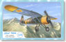 PZL.24E ドナウ川上空の空戦 (プラモデル)