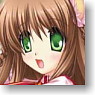 Character Deck Case Collection Max Rewrite [Kanbe Kotori] (Card Supplies)