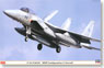 F-15J イーグル `近代化改修機 形態II型` (プラモデル)