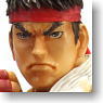 Super Street Fighter IV Play Arts Kai Ryu (Completed)