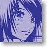 Fafner in the Azure Heaven and Earth Pass Case Minashiro Soshi (Anime Toy)