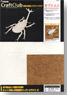 Craft Club Rhinoceros Beetle (Craft Kit)