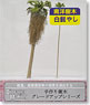 手作り樹木 グレードアップシリーズ 南洋樹木C. 白髭やし (2本入) (鉄道模型)