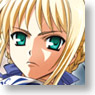 Fate/stay Night -UNLIMITED BLADE WORKS- Seihai Sensou Rinsen (Anime Toy)
