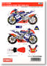 Decal for RSW 250 2009 #14 (Model Car)