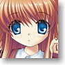Character Sleeve Collection Rewrite [Ohtori Chihaya] (Card Sleeve)