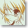 [Rewrite] Pass Case [Nakatsu Shizuru] (Anime Toy)