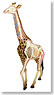 Giraffe Anatomy Model (Plastic model) (Plastic model)