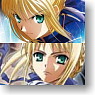 [Fate/stay Night -UNLIMITED BLADE WORKS-] Mini Photo Album [Saber] (Anime Toy)