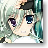 Character Binder Index Collection Magical Girl Lyrical Nanoha ViVid [Einhart Stratos] (Card Supplies)