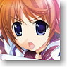 Character Binder Index Collection Magical Girl Lyrical Nanoha ViVid [Takamachi Nanoha] (Card Supplies)
