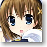 Character Binder Index Collection Magical Girl Lyrical Nanoha ViVid [Yagami Hayate] (Card Supplies)