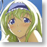 IS (Infinite Stratos) Two Persons of Fascination (Anime Toy)