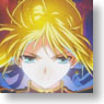ヴァイスシュヴァルツ トライアルデッキ Fate/Zero (トレーディングカード)