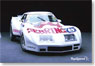 1975 シボレー コルベット (No.75) グリーンウッド `スピリット オブ セブリング` セブリング12時間レース (ミニカー)