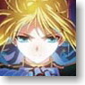 Fate/Zero もふもふミニタオル キービジュアル柄 (キャラクターグッズ)