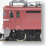 J.R. Electric Locomotive Type EF81 (Tsuruga Rail Yard) (Model Train)