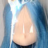 Hair Implant Head 11-01 (Natural/Blue) (Fashion Doll)