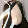 Hair Implant Head 11-01 (Whity/Dark Brown) (Fashion Doll)