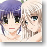 Character Deck Case Collection SP Magical Record Lyrical Nanoha Force [Lily & Isis] (Card Supplies)
