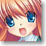 Character Sleeve Collection Mini Rewrite [Ohtori Chihaya] (Card Sleeve)