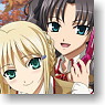 Character Sleeve Collection Mini Fate/stay Night -UNLIMITED BLADE WORKS- [Rin & Saber] (Card Sleeve)