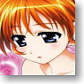 Character Binder Index Collection Magical Girl Lyrical Nanoha The Movie 1st [Takamashi Nanoha Transform Ver.] (Card Supplies)