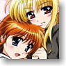 Character Binder Index Collection Magical Girl Lyrical Nanoha The Movie 1st [Nanoha & Fate] (Card Supplies)