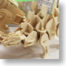 動く木製3Dパズルキット D440 ステゴザウルス (プラモデル)