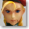 Super Street Fighter IV Play Arts Kai Vol.2 Cammy (Completed)