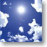 Broccoli Hybrid Sleeve [Blue sky of that summer] (Card Sleeve)