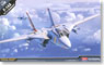 F-14A トムキャット VF-111 サンダウナーズ (プラモデル)