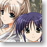 Character Card Box Collection Magical Record Lyrical Nanoha Force [Lily & Isis] (Card Supplies)