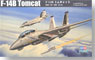 F-14B Tomcat (Plastic model)