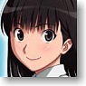 Amagami SS+ Mofumofu Mini Hot Water Bottle Ayatsuji Tsukasa Hot Water Bottle Cover (Anime Toy)