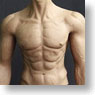 Seamless Molecular Body - 1/6 Action Figure Asian Skin ver: HJ-0012(Fashion Doll)