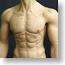 Seamless Molecular Body - 1/6 Action Figure White Skin ver: HJ-001 (Fashion Doll)